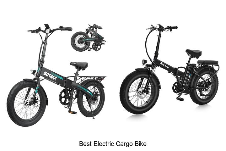 Uncover the Best Electric Cargo Bike for You!