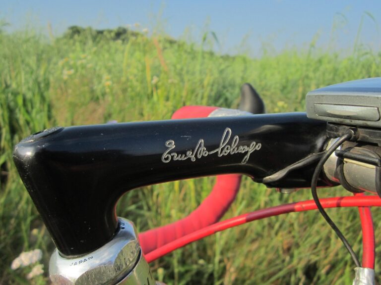 What Is That Pointy Thing on a Road Bike Head Tube?