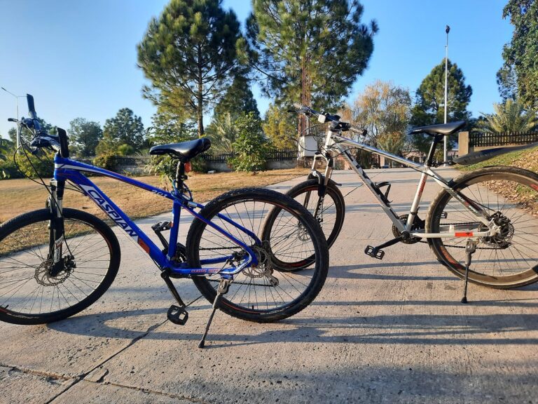 What Is a Hybrid Bike vs Mountain Bike